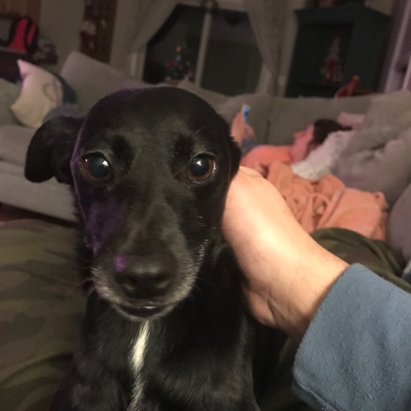 Hello 👋🏻 - Picture 5 of 5